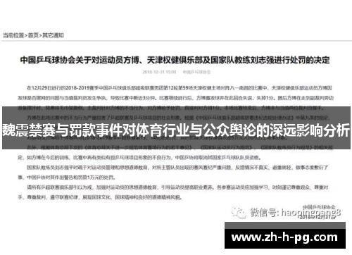 魏震禁赛与罚款事件对体育行业与公众舆论的深远影响分析