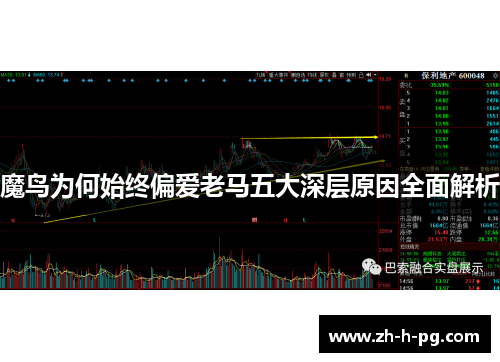 魔鸟为何始终偏爱老马五大深层原因全面解析