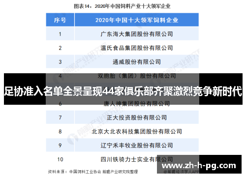 足协准入名单全景呈现44家俱乐部齐聚激烈竞争新时代